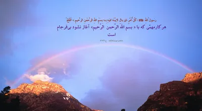 810_Hadis_002_29110.jpg