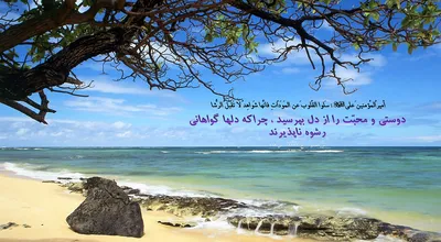 810_Hadis_011_9740.jpg