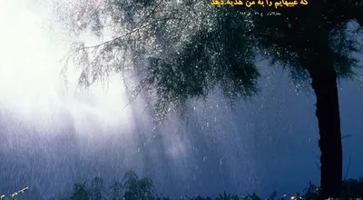 810_Hadis_014_9412.jpg