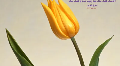810_Hadis_024_9194.jpg
