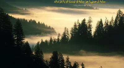 810_Hadis_029_6367.jpg