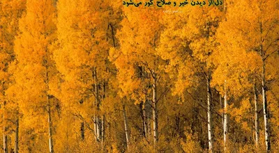 810_Hadis_036_9742.jpg