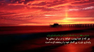 810_Hadis_099_5267.jpg