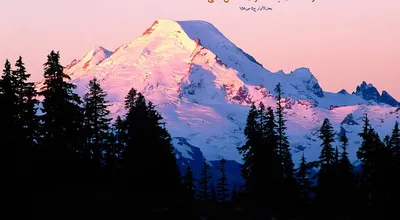 810_Hadis_353_7223.jpg