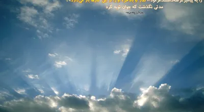 810_Hadis_365_10146.jpg