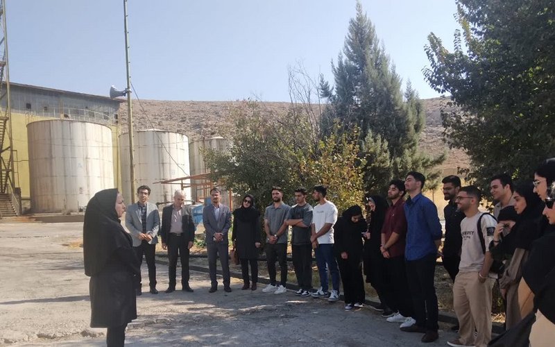 بازدید دوم