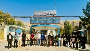 بازدید اول