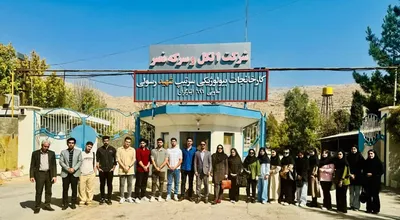 بازدید اول