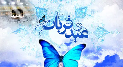 fu5729_18403.jpg