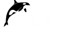 orca-search_10822.png