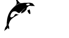 orca-search_10822.png