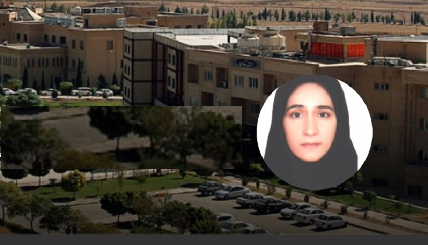 عارفی فرد